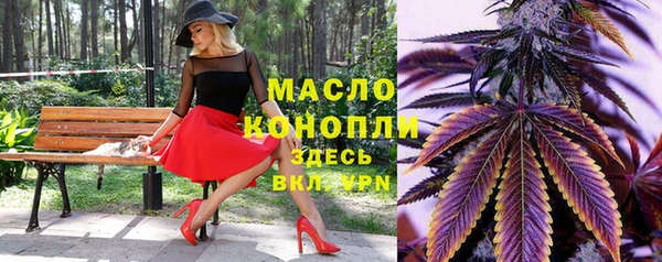 мдпв Ладушкин