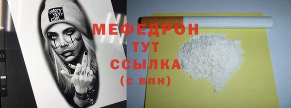 мдпв Ладушкин