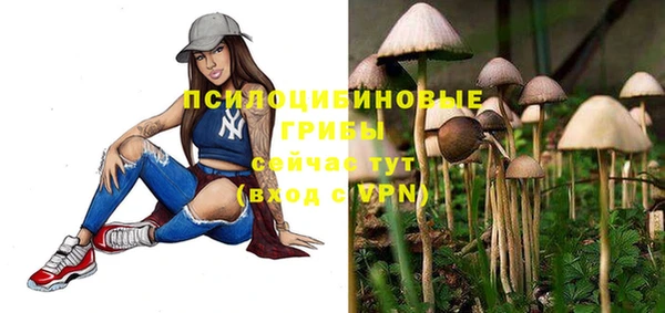 не бодяженный Куйбышев