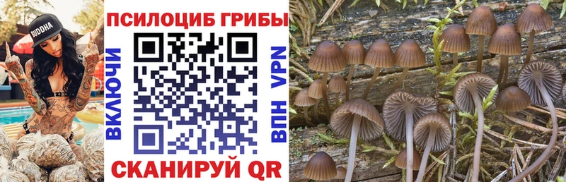где купить наркоту  Калининград  Галлюциногенные грибы Magic Shrooms 