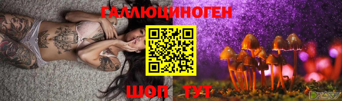 Псилоцибиновые грибы мицелий Калининград