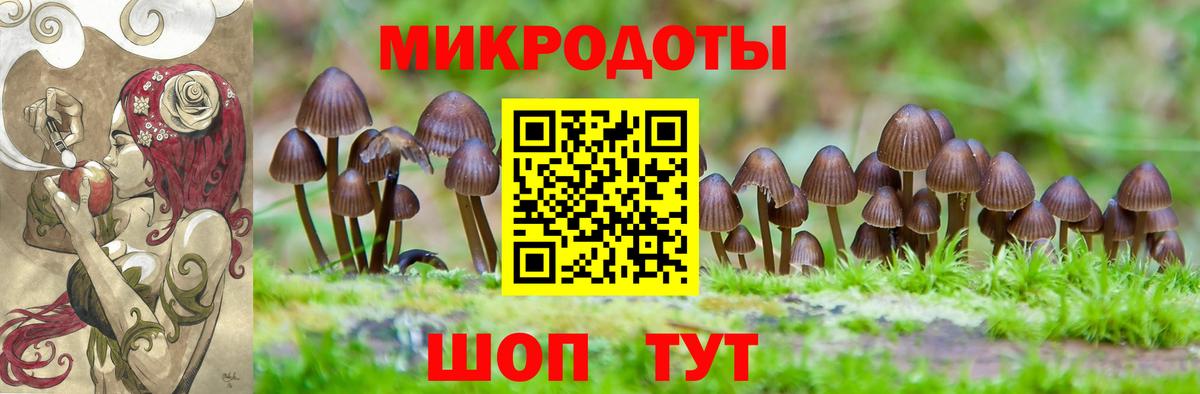 Псилоцибиновые грибы мухоморы  Вход с VPN  наркошоп  Калининград 